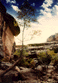 Natural Bridges
National Park
