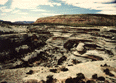Natural
Bridges National Parks