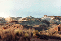 Little
Wild Horse Valley